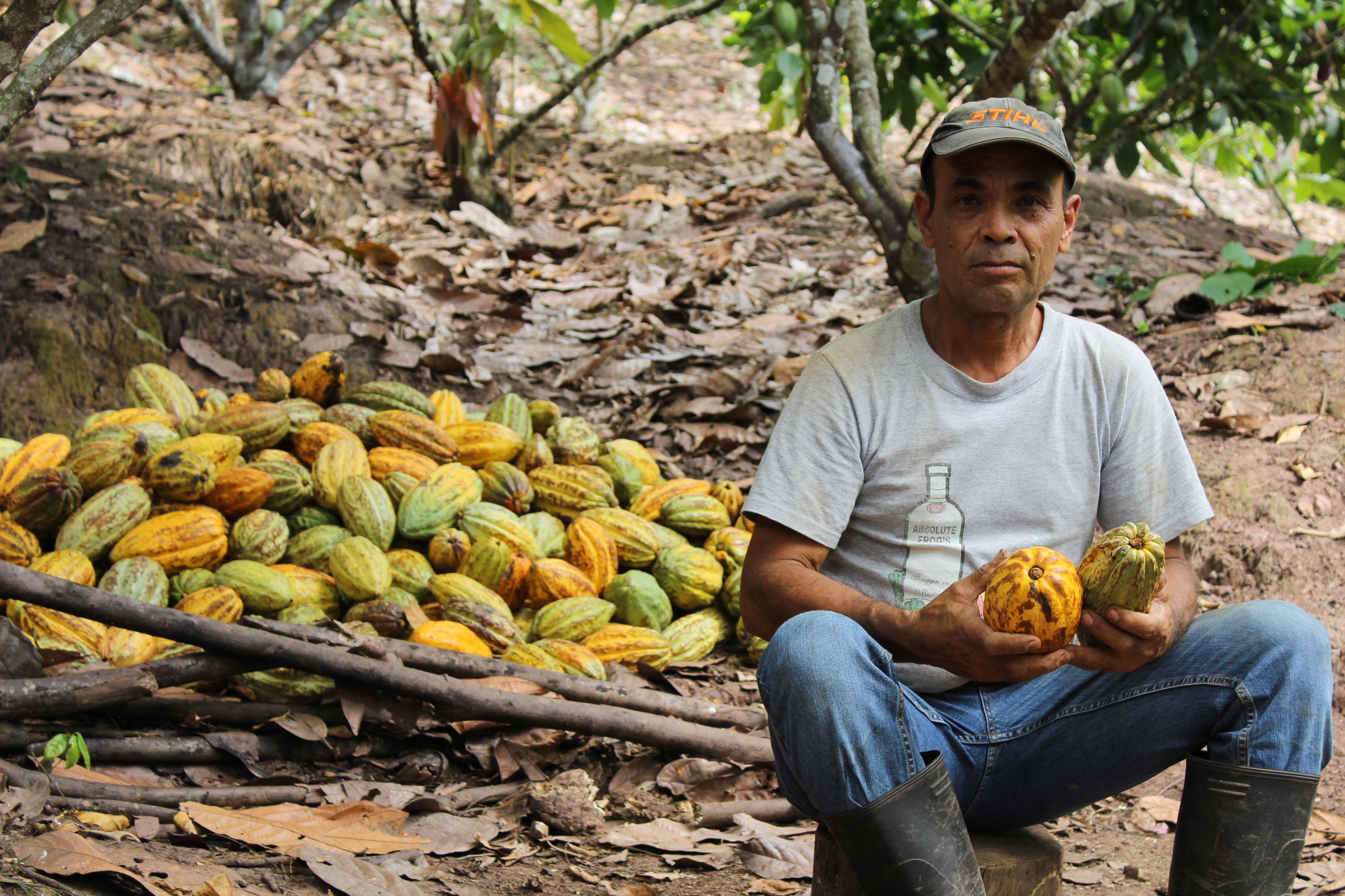man in front of cocoa beans